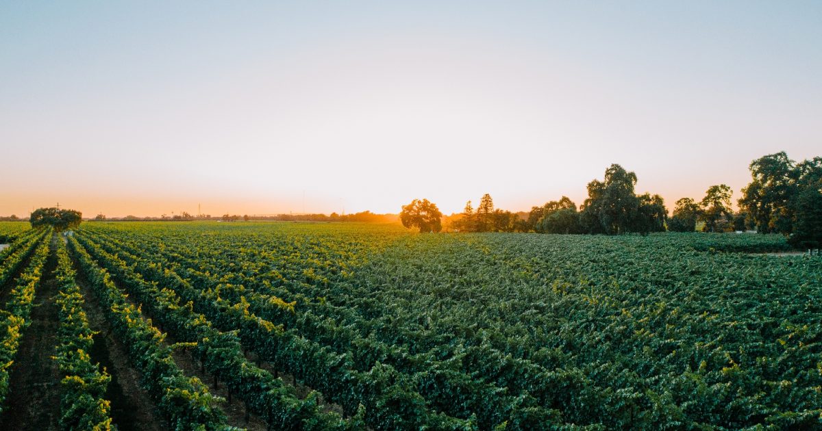 Lodi wi weather forecast