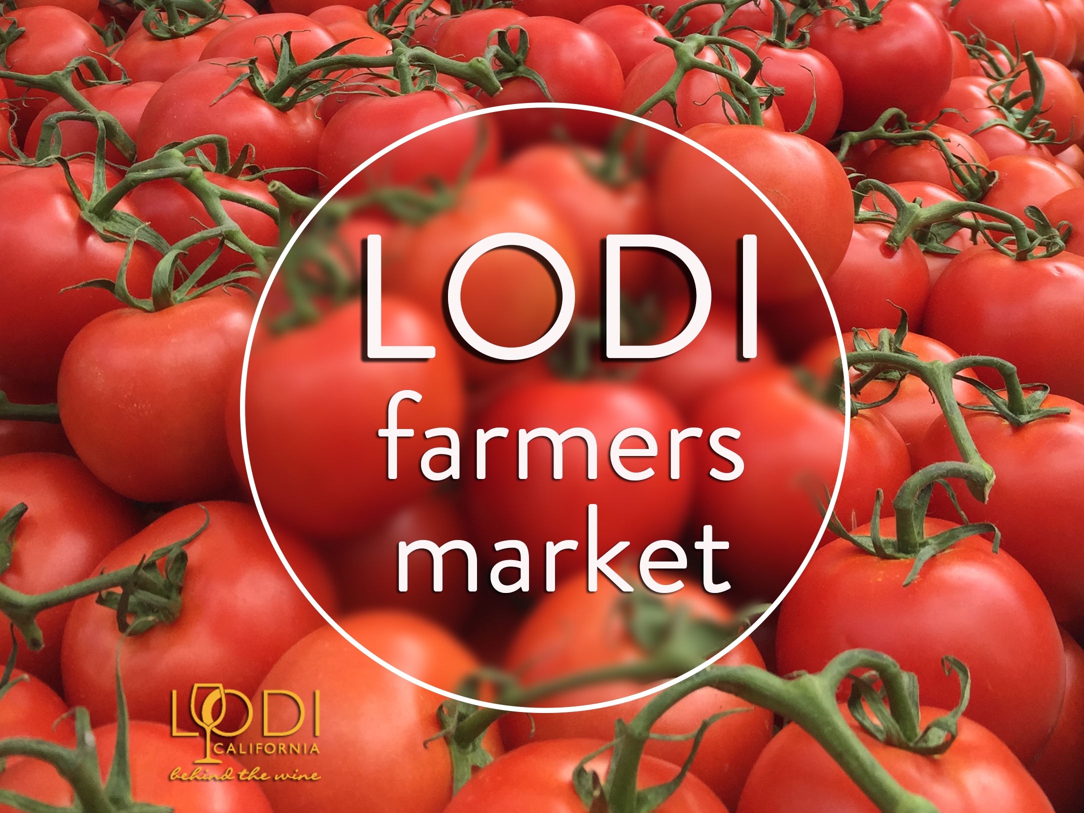 Lodi Farmers Market Visit Lodi